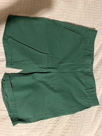 Ladies shorts 1