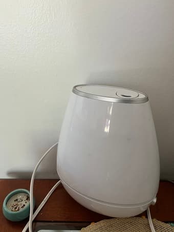 Vaporizer with free essential oil 1