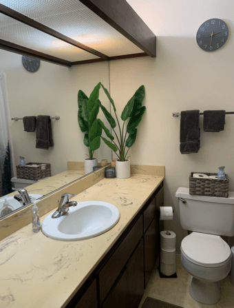 One bedroom, Sunnyvale 2