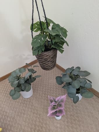 Artificial plants 1