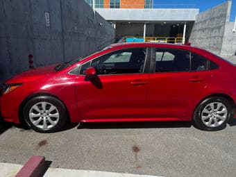 Daily Car Rental 1