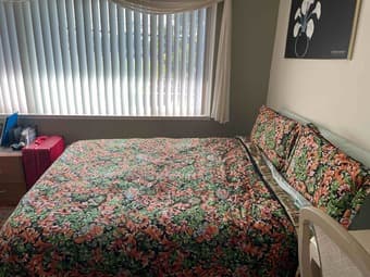 A beautiful park-view room, just 3 miles from campus, now available 1