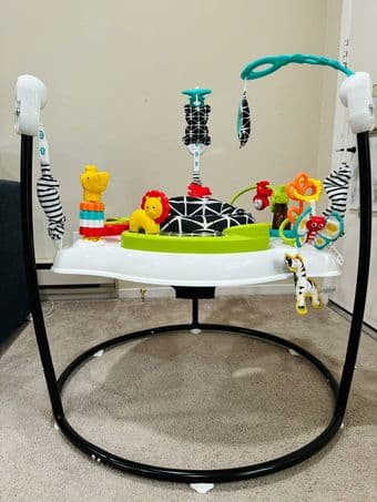 Fisher-Price Baby Bouncer for sale 2
