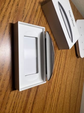 Apple Magic Mouse 2