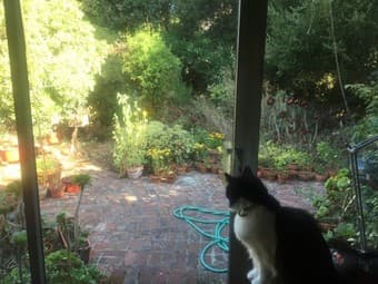 Furnished room in Menlo Park, $1650/month 2