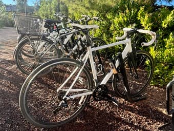Bike for Sale 1