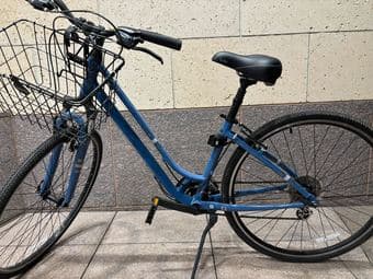 nice LIV bike 1