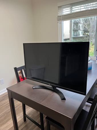 LG monitor 1