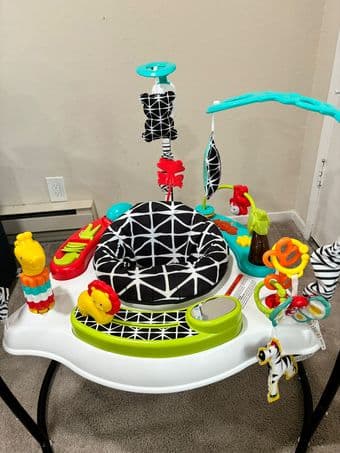 Fisher-Price Baby Bouncer for sale 2