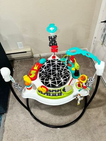 isher-Price Baby Bouncer for sale 2