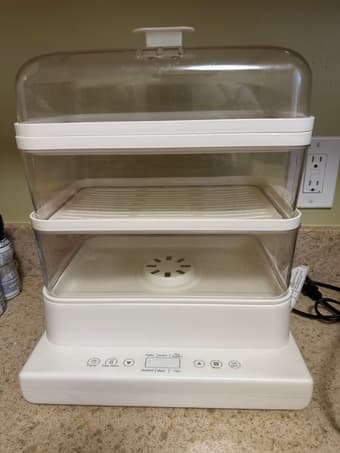 Electric Steamer 1