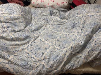 Comforter+pillows 1