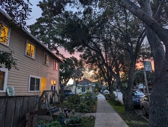 Room available in late July in warm, cooperative home! (palo alto) 1