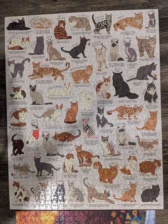 3 Jigsaws 1