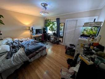 Rooms opening in bright, beautiful, creative community house (6br) 3