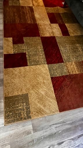 10'x13' Rug 1
