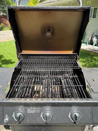 gas BBQ 3