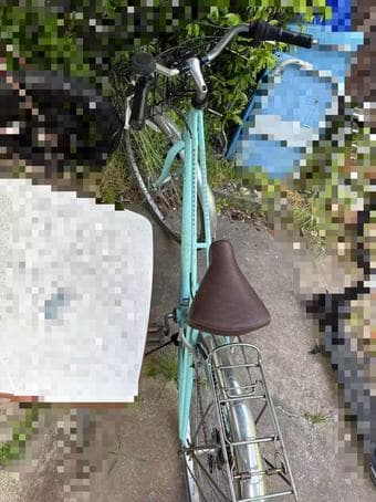 Schwinn Admiral Hybrid Bike for Girls w/ Basket ($350+ New) 1