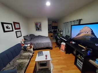 Studio sublet $1150 - furnished - May 30-July 5 - Cat sitter (read ad) 1