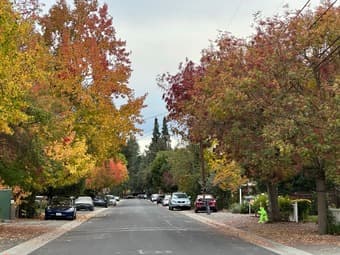AMAZING Palo Alto room 10 mins from campus, pool in the house 3