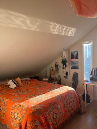Beautiful artist loft in 3BR apartment in Mission, SF sublet June-Jul 2