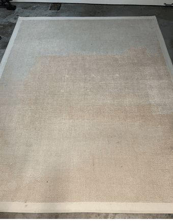 8'x10' Area Rug 2