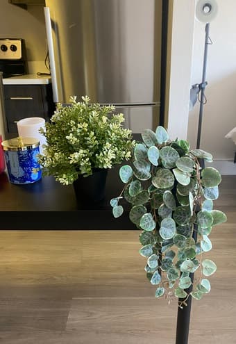 Household decorations 3