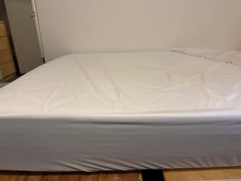Mattress + Protector (Full size). Great and clean (June 24 pick up!!) 1