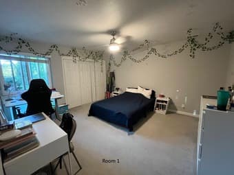 Looking for 2 Female Roommates - 1 Temporary, 1 Permanent 1
