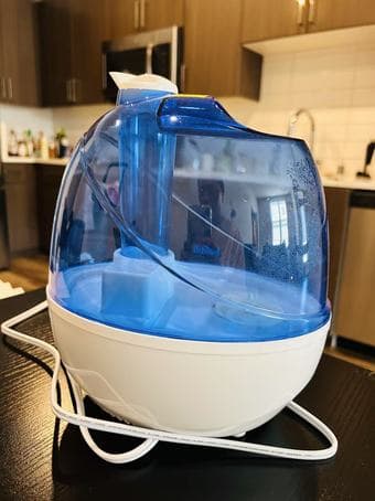 Cool Mist Humidifier – 2.5L Tank, Ultra-Quiet, Only $10! 2