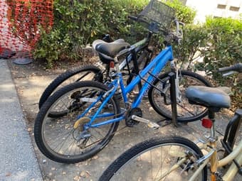 Bike for sale, pick up on campus 1