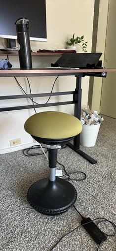 Erogonomic WFH chair 1