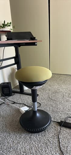 Erogonomic WFH chair 2