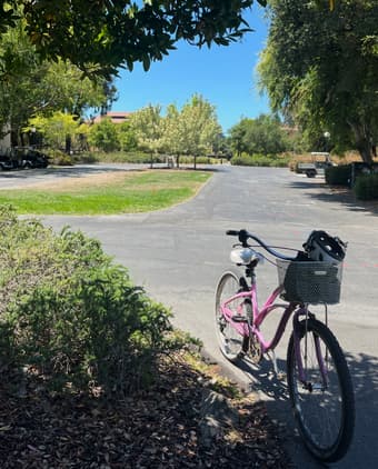 Electra 26" Bike – PINK & CUTE! 2