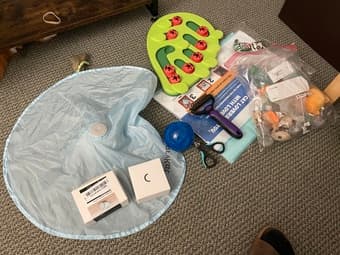 Cat supplies 1