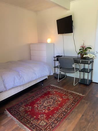 Avail 9/17 furn room w/priv garden entrance in house with pool 2
