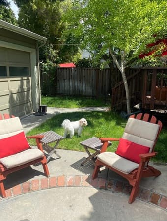 Room available in beautiful downtown palo alto house next to campus 1