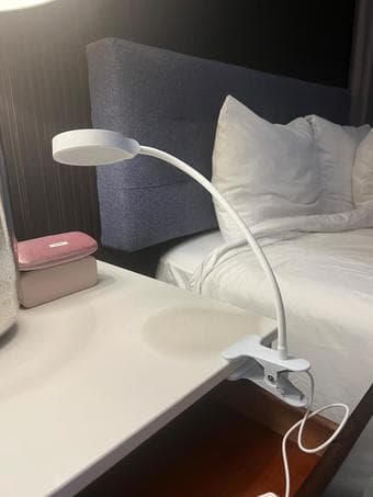 Clip On Light 1