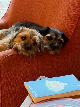 Seeking dog/ house sitter over winter break. 1