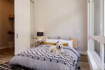 Sublet/Rent Takeover@ Mountain View 1