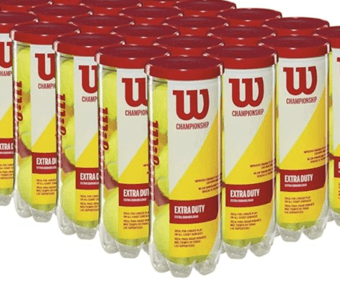 brand new wilson championship tennis balls in can - $4/can 1