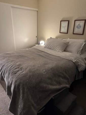 Nolah Mattress + Bed Frame (Queen) 1