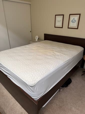 Nolah Mattress + Bed Frame (Queen) 2