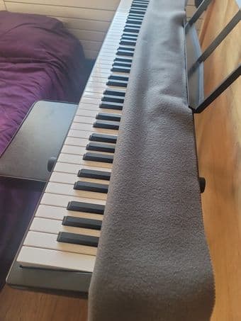 Roland Piano 1