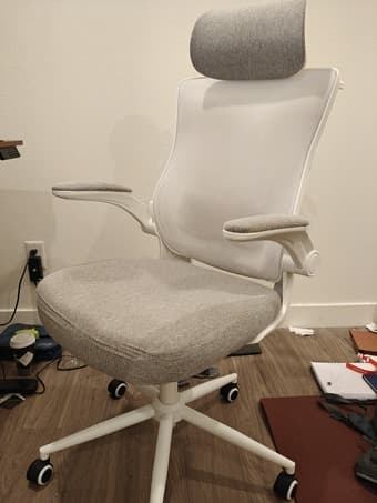 Ergonomic Office Chair 2
