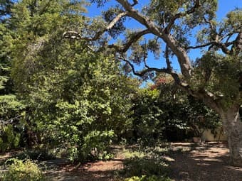 FURNISHED IN LAW UNIT AVAILABLE June 1, 2026 3