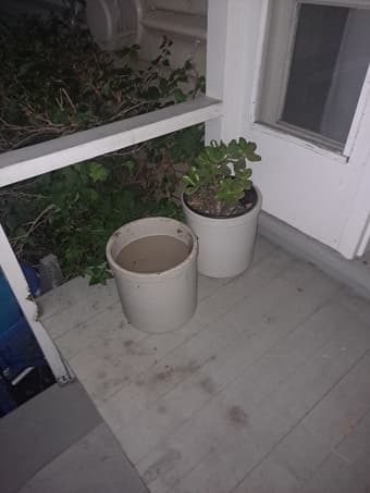 Potted plant and extra pot 1