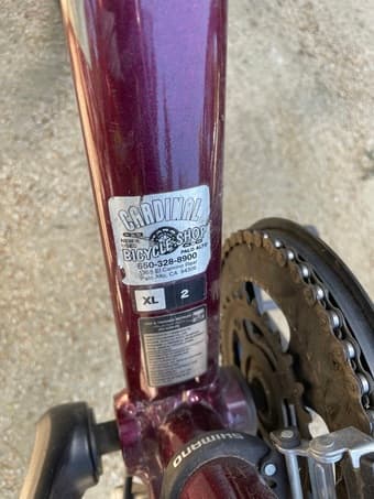 Giant Escape Disc 2. XL frame with phone holder, lock and rear basket 3