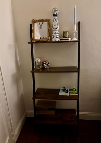 Bookshelf 1