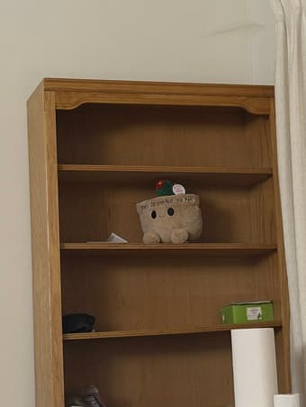 Bookshelf for free 1